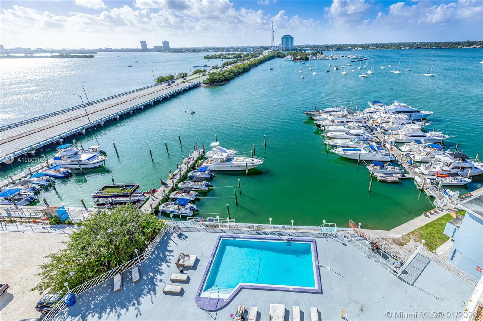 bayshore yacht club tampa