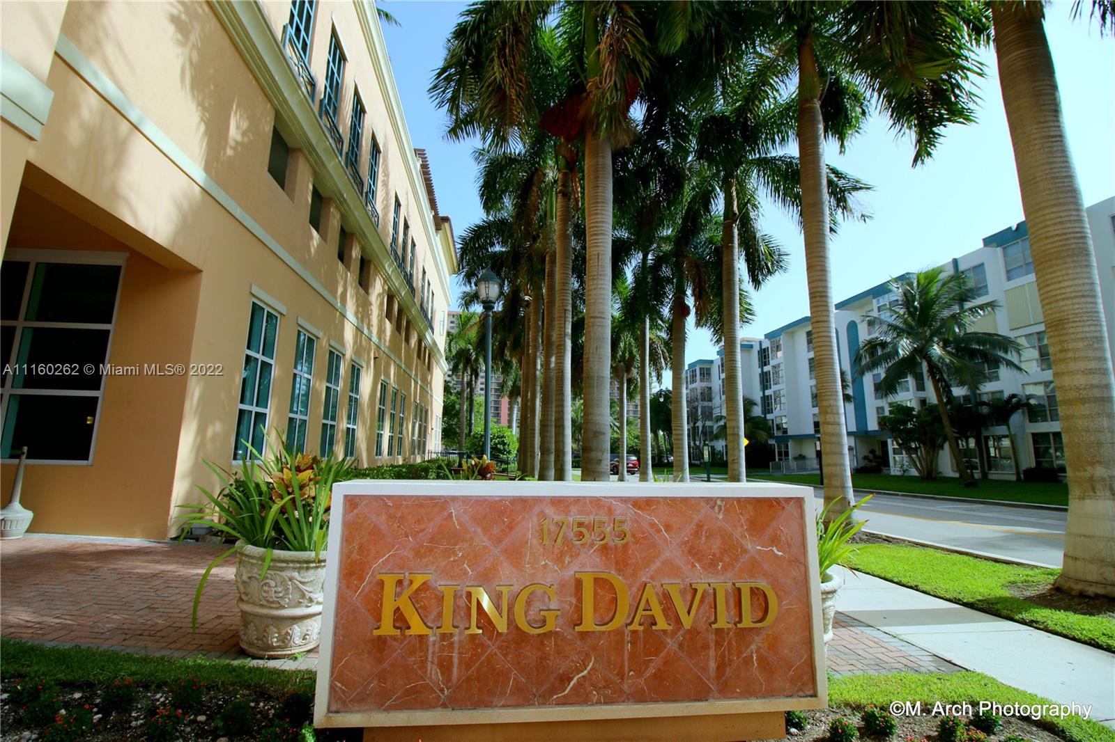 King David image #45